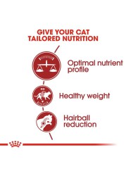 Royal Canin Feline Fit Cat Food (10 Kg)