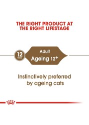Royal Canin Feline Health Nutrition Ageing +12 Wet Cat Food (Chunks in Gravy, Adult Cats, 85 g)