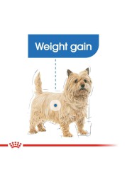 Royal Canin Canine Care Nutrition Light Weight Care Dry Dog Food (Mini Adult Dogs, 3 kg)