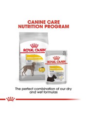 Royal Canin Canine Care Nutrition Dermacomfort Dry Dog Food (Maxi Adult Dogs, 10 kg)