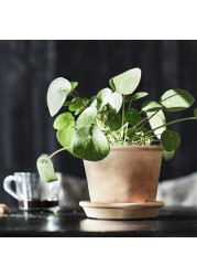 MUSKOTBLOMMA Plant pot with saucer