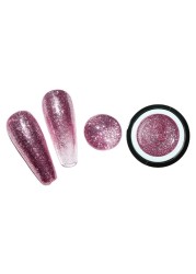 Nail Art Line Gel Polish Nail High Density Platinum Glue Glittering Painted Phototherapy Glitter Metallic Glitter Painting Platinum TSLM1