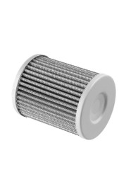 420956124 FUEL FILTER FOR BADR 600ACE/BRP900ACE/BRP1200