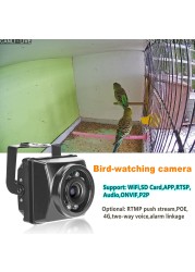 Mini Outdoor Mini Infrared IP POE Cameras Night Vision IPC Wide Angle Audio Video Security Surveillance Camera P2P Onvif Bird Cage