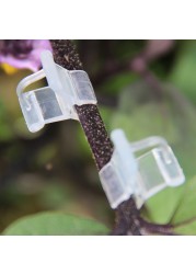 100pcs Transparent Reusable Durable Portable Garden Seedling Tools Greenhouse Plants PE Fruit Vegetable Grafting Clips