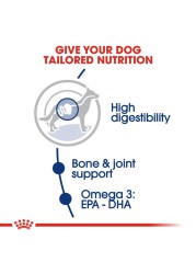 Royal Canin Size Health Nutrition Maxi Adult Dog Food (4 kg)