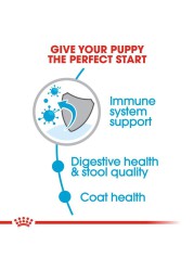 Royal Canin Mini Indoor Junior Dry Dog Food (Small Puppy, 1.5 kg)