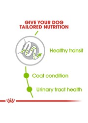 Royal Canin Healthy Transit X-Small Adult Dog Food (Very Small Dogs, 1.5 kg)