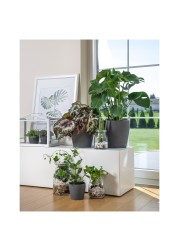 PERSILLADE Plant pot