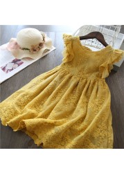 Spring and summer girls lace dress adorable cute baby dress