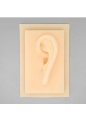 Silicone Ear Fake Ear Glossy Texture for Teaching Demonstration