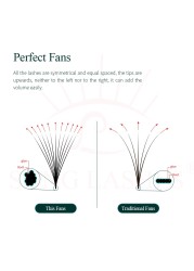 Sung Lashes 1000 Fans Sharp Narrow Stem Premade Volume Lash Fans Tapered Base Premade Fans Slim Thin Tapered Base Lash Eyelashes