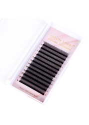 Eyelashes Extension W Shape 3/4D Pre-made Volume Fans w Style Lashes Faux Mink Soft Easy Fan Natural Ariosn Lashes