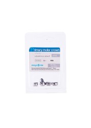 5pcs EASYINSMILE Dental Crown Kids Primary Molar Refill Stainless Steel for Upper/Lower Left/Right 1st/2nd MolarTeeth