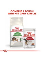 Royal Canin Active Life Outdoor Dry Cat Food (Adult Cats, 2 kg)