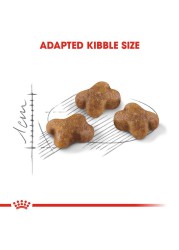 Royal Canin Feline Health Nutrition Digestive Health Cat Food (Kittens, 2 kg)