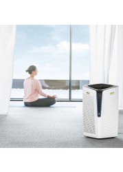 Karcher Professional Air Purifier, AF100 (80 W)