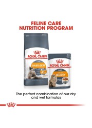 Royal Canin Feline Health Nutrition Intense Beauty Wet Cat Food (Chunks in Gravy, Adult Cats, 85 g)