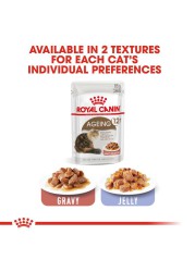 Royal Canin Feline Health Nutrition Ageing +12 Wet Cat Food (Chunks in Gravy, Adult Cats, 85 g)