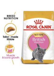 Royal Canin Feline Breed Nutrition British Shorthair Dry Cat Food (Kitten, 2 kg)