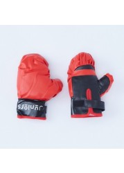 Juniors Punching Ball with Stand and Gloves