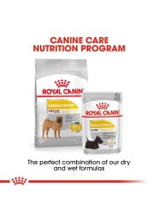 Royal Canin Canine Care Nutrition Dermacomfort Dry Dog Food (Medium Adult Dogs, 3 kg)